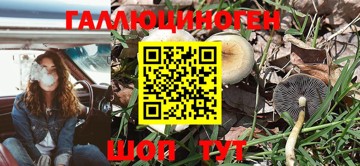Галлюциногенные грибы ЛСД Феодосия
