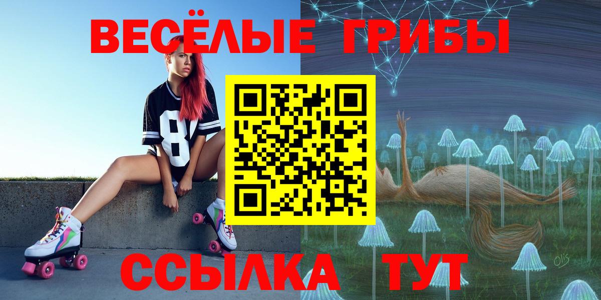 Феодосия  Псилоцибиновые грибы Psilocybe  Вход с VPN  Псилоцибиновые грибы Psilocybine cubensis 